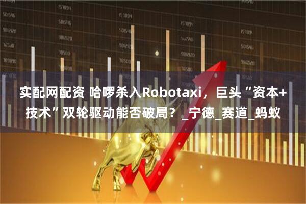 实配网配资 哈啰杀入Robotaxi，巨头“资本+技术”双轮驱动能否破局？_宁德_赛道_蚂蚁