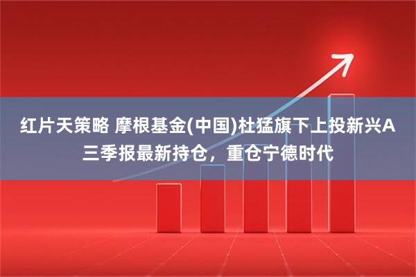 红片天策略 摩根基金(中国)杜猛旗下上投新兴A三季报最新持仓，重仓宁德时代