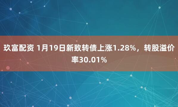 玖富配资 1月19日新致转债上涨1.28%，转股溢价率30.01%